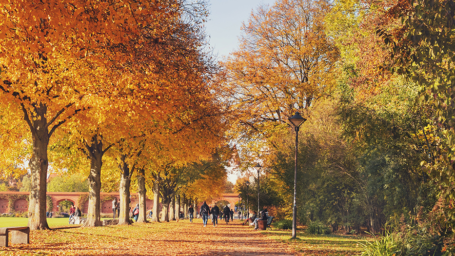 Stadtpark im Herbst